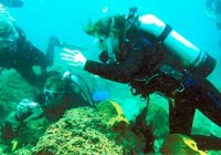 Cook Island Diving