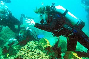 Cook Island Diving