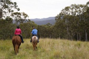 Numinbah Valley Adventure Trails