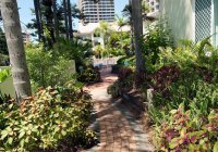 Surfers Paradise Apartment Accommodation