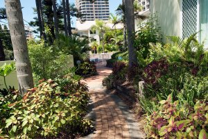 Surfers Paradise Apartment Accommodation Surfers Paradise Apartment Accommodation