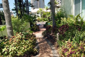 Surfers Paradise Apartment Accommodation